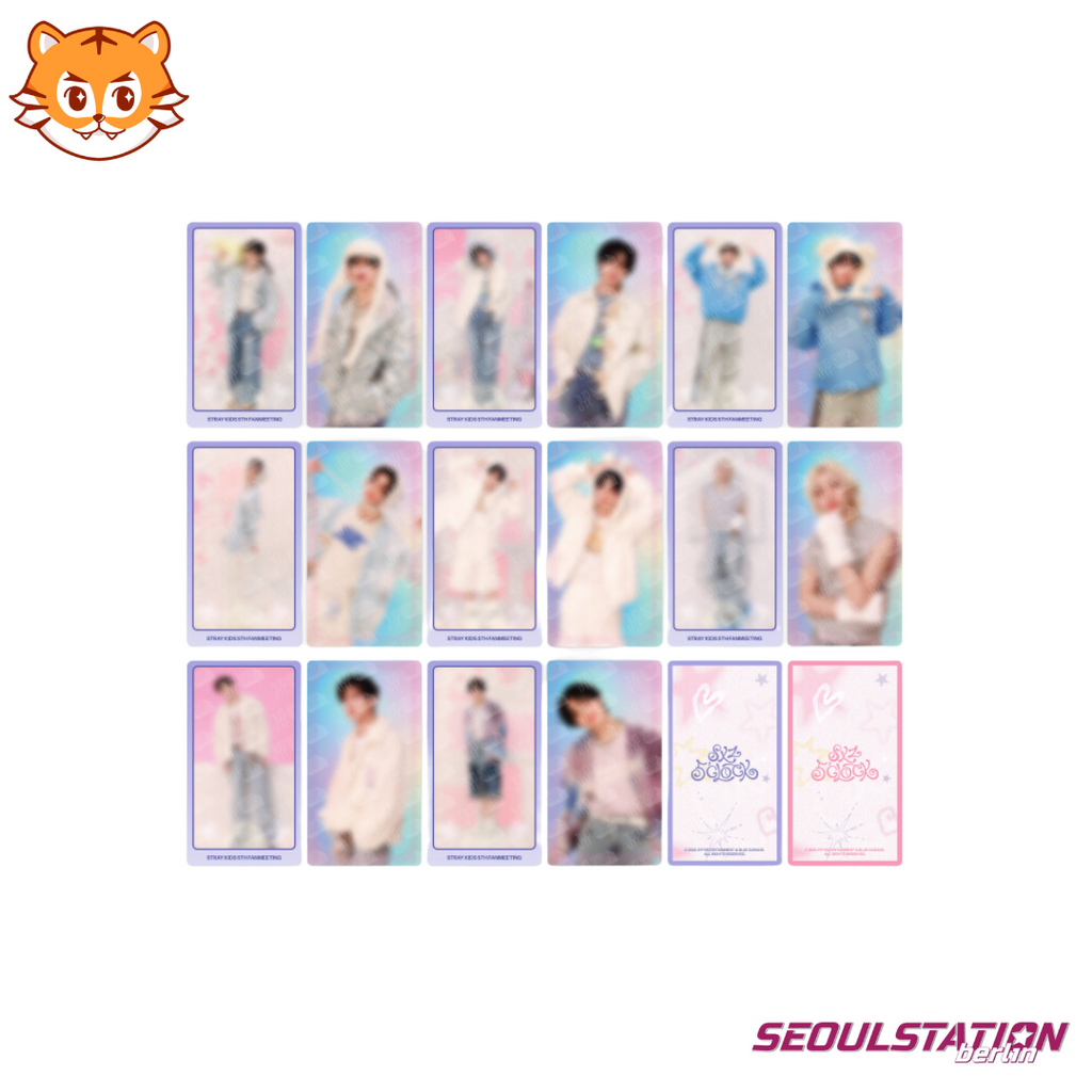 SEOULSTATION berlin stray kids skzoo fanmeeting merch trading card
